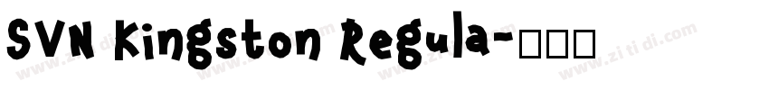 SVN Kingston Regula字体转换